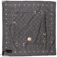 Louis Vuitton Scarf 202//200